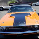 Profile Picture of Chris (@chris_elston) on Instagram