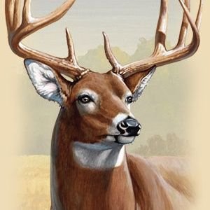 Profile Picture of Larry Hummer Sr (@larryhummersr) on Twitter