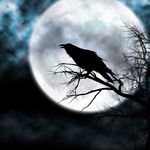 Profile Picture of Carrie Foster (@carrie.moonraven) on Instagram