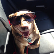 Profile Picture of Benjamin Huffman (@benjaminhuffman8731) on Youtube