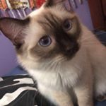 Profile Picture of Travis Bingham (@binghamtravis1973) on Instagram