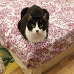 Marcelino Urteaga García - Instagram Profile Picture of Marcelino Urteaga García (@marcelinourteagagarcia) on Instagram