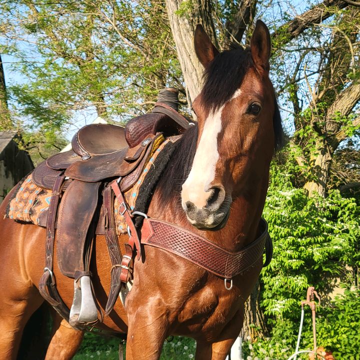 Profile Picture of Derek Moore (@derekmoore222) on Tiktok