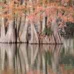 Profile Picture of Joseph A Lapinski (@joseph.a.lapinski) on Facebook