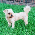 Profile Picture of Wendy Marlot Aaron (@aaronwenmarlot) on Instagram
