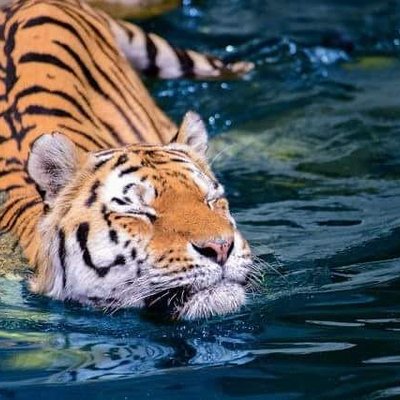 Jojo - Twitter Profile Picture of Jojo (@JoshRamsdell) on Twitter