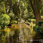 Profile Picture of Daniel Budzynski (@daniel.budzynski.1297) on Facebook