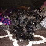 Profile Picture of Stephanie Cain (@beadlily) on Instagram