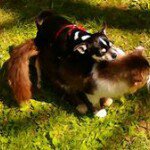 Profile Picture of Damon Conley (@damonconley) on Instagram