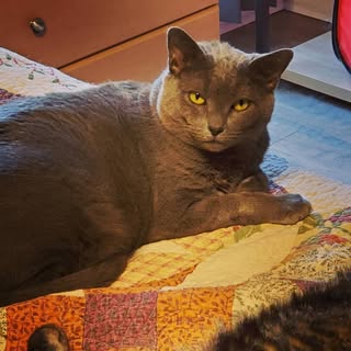 Profile Picture of Genora Dobbyn (@genoradobbyn) on Instagram