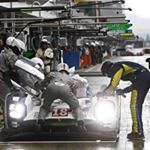 Profile Picture of David Tusch (@tuschdavid) on Instagram