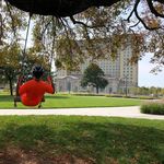 Profile Picture of David Pernick (@dpernick) on Instagram