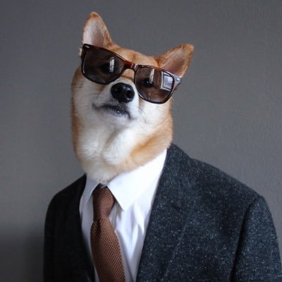 Profile Picture of Ross Kirschner (@Kirsch360) on Twitter