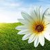 Profile Picture of Rajeshwari Vijayaraghavan (Rajeshwari) (@Rajeshwari-Vijayaraghavan) on Facebook