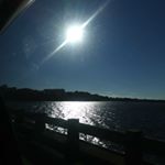 Profile Picture of pedro resto (@jumbo1365) on Instagram