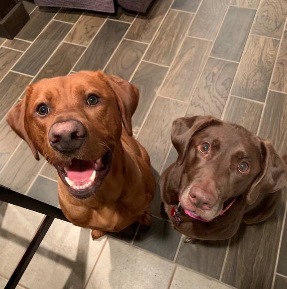 Profile Picture of Nicholas William (@nraddant2101) on Poshmark