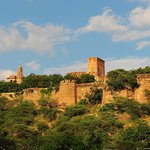 Profile Picture of Charles Ziegler (@labrowed) on Instagram