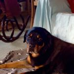 Profile Picture of Rene Gordon (@renegordon7364) on Instagram