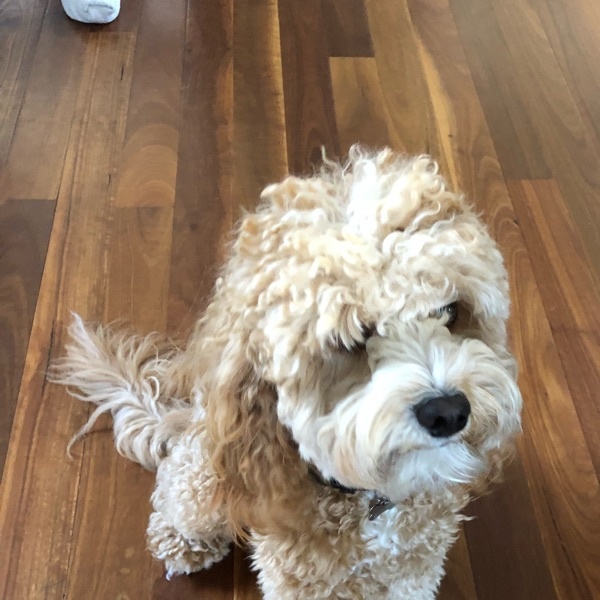 Profile Picture of Jaime manning (@28jaime) on Tiktok