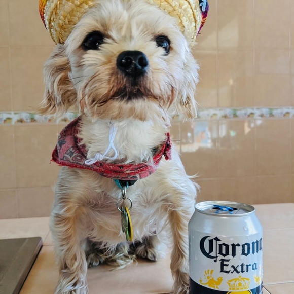 Caitlin Delung - Poshmark Profile Picture of Caitlin Delung (@caitlindelung) on Poshmark