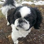 Profile Picture of Shawn Penner (@shawnpenner) on Instagram