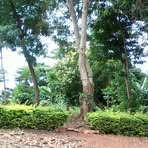 Profile Picture of Michael Serwabwe (@michael.serwabwe) on Facebook