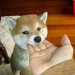 Bryan Walker - Instagram Profile Picture of Bryan Walker (@bryan__walker__) on Instagram