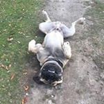 Profile Picture of Preston Cooper (@preston_c00per) on Instagram