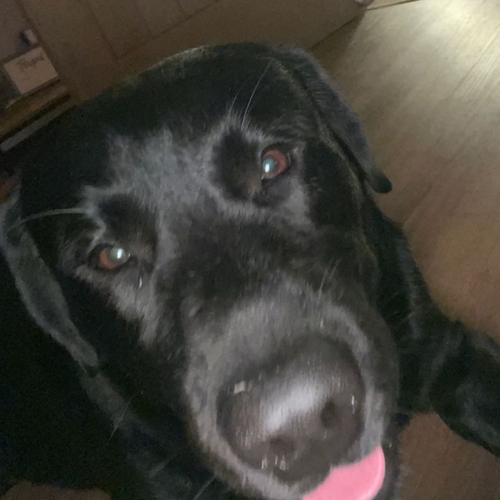 Profile Picture of Dillon Mclaughlin (@@dillonmclaughlin6) on Tiktok