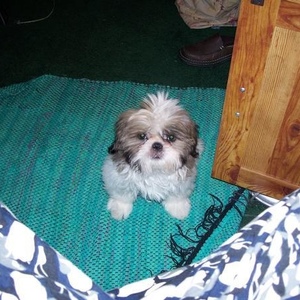 Profile Picture of Nicholas Brant (@3344a) on Myspace