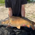 Profile Picture of Sean Bayliss (@Sean-Bayliss) on Facebook