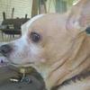 Profile Picture of Steve Normand735 (@@user584119192783) on Tiktok