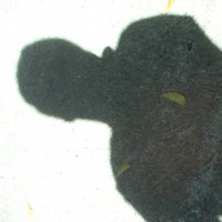 Profile Picture of Melan Alvin James Monteverde (@melan-alvin-james-monteverde) on Quora