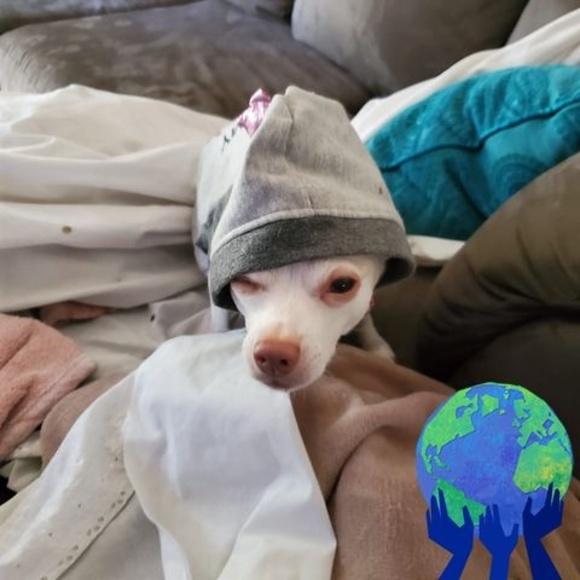 Jennifer Mossey - Poshmark Profile Picture of Jennifer Mossey (@jmossey21) on Poshmark