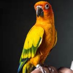 Profile Picture of Jake (@jacob_owings) on Twitter