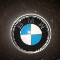 Profile Picture of Dany Holly (@danyholly) on Tiktok