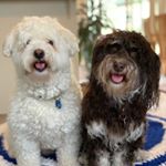 Profile Picture of David Durrant (@david.durrant.986) on Instagram