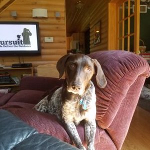 Profile Picture of Jim Groesser (@jwg045) on Twitter