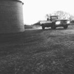 Profile Picture of Steven Cruse (@stevencruse) on Instagram