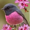 Profile Picture of Dawn Yates (@@user453352023) on Tiktok