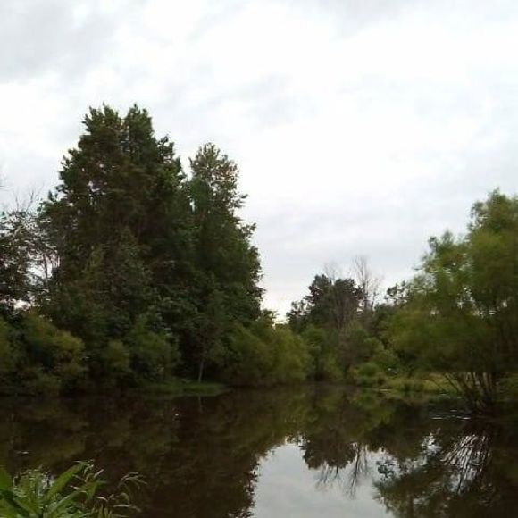 Profile Picture of Andy Chipperfield (@achipperfield76) on Poshmark