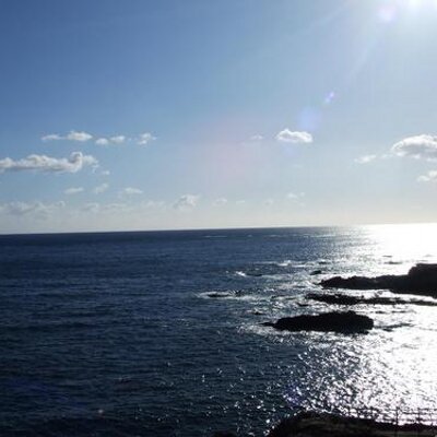 Profile Picture of Avaross (@avaross) on Twitter