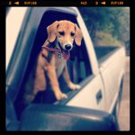 Profile Picture of Jackie Brunton (@jacobimugatu) on Instagram