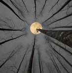 Profile Picture of James Hanley (@james.hanley.420549) on Facebook