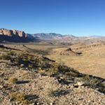 Profile Picture of Terence Bolden (@terencebolden) on Instagram