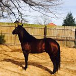 Profile Picture of Jonathan Zamora (@jonathan_el__de_zacatecas) on Instagram