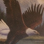 Profile Picture of Hugo Falcon (@hugofalcon9451) on Youtube