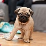 Nathan Speight - Instagram Profile Picture of Nathan Speight (@nathan.speight.54) on Instagram