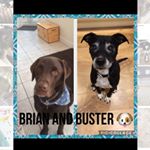 Profile Picture of Buster And Brian (@brianandbuster) on Instagram