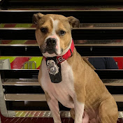 Profile Picture of Tyler VanLeer (@tylervanleer2741) on Youtube